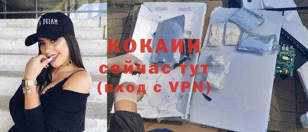 гидра Абаза