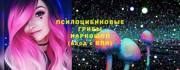 гидра Абаза