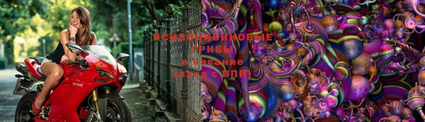 гидра Абаза