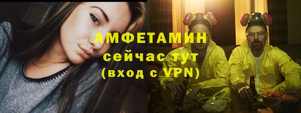 гидра Абаза